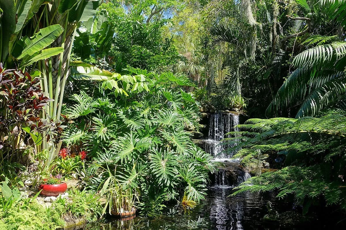 Beautiful Gardens in Sarasota, Florida~A Magical Haven For Nature Lovers